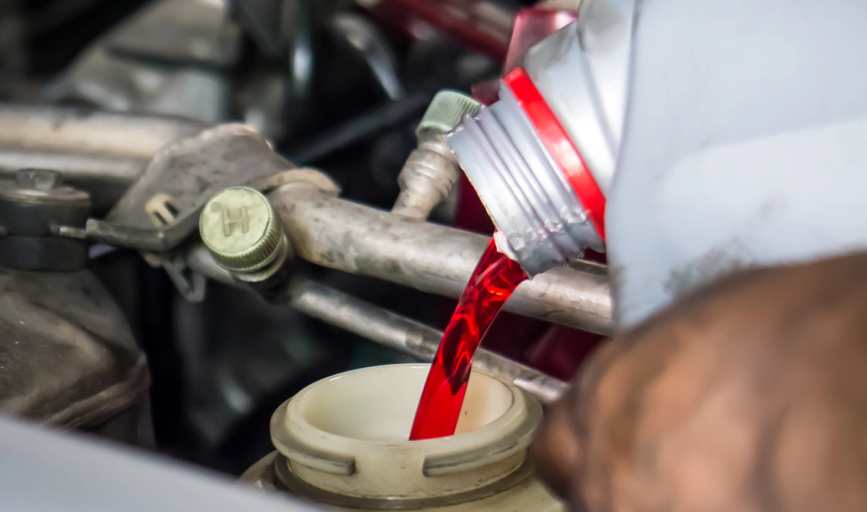<p style="font-family: 'Poppins', sans-serif; font-weight: 700; font-size:24px;">TRANSMISSION FLUID CHANGE SERVICES </p>